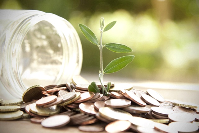 plant sprouting from money